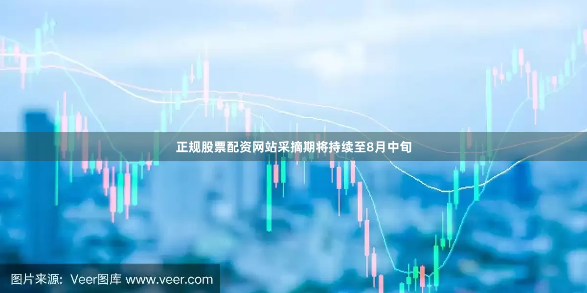 正规股票配资网站采摘期将持续至8月中旬