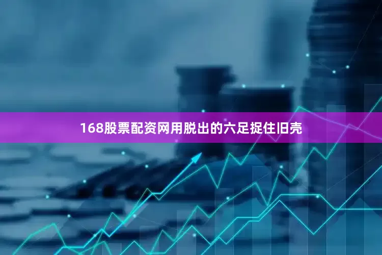 168股票配资网用脱出的六足捉住旧壳