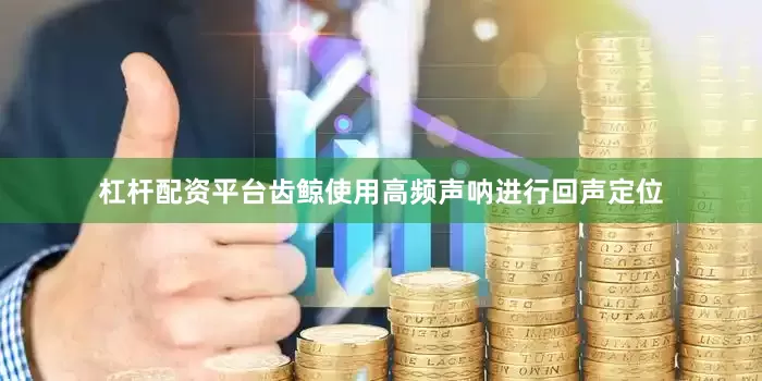 杠杆配资平台齿鲸使用高频声呐进行回声定位